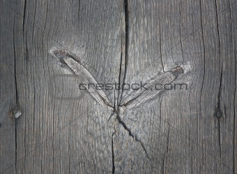 Knotted old wood
