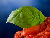Tomato sauce with basil leaf background