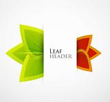 Vector leaf illustration