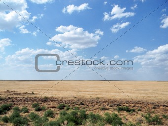 Steppe landscape