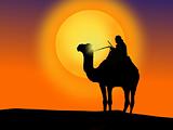 A camel and a man at sunset.