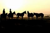 Cowboy and herd at sunrise