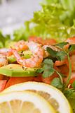  salad with shrimps and avocado