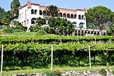 Italian charming villa in vineyard