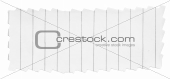 paper banner with frayed edges