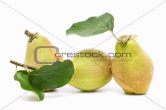 fresh quince