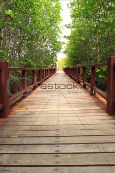 wood bridge in park