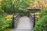 Wooden Foot Bridge in Japanese Garden