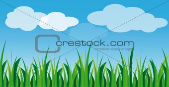 vector green grass and blue sky