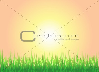 Sunset Grass Background