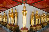 Many of the golden Buddha statue stand