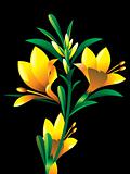 yellow oleander flower plant
