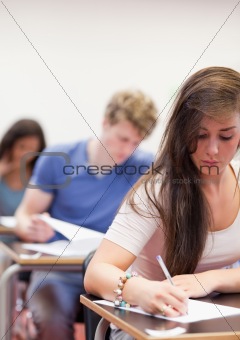 Portrait of students having a test