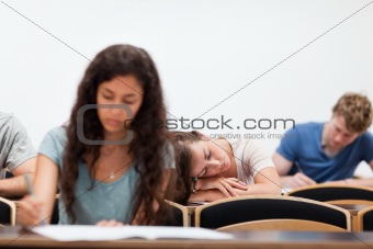 Students working while their classmate is sleeping