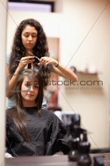 Portrait of a woman having a haircut