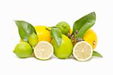 fresh lemon 
