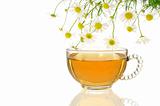 Cup of chamomile tea over white background