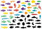 Fish silhouettes illustration set.