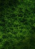 Rich green leather background