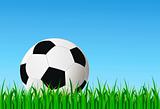 soccer ball in green grass