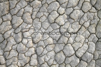 Dry cracked land
