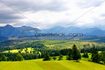 Green valley in the high mountains