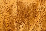 Stock macro photo of the texture of wood.