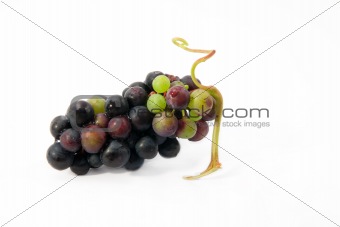 bunch of delicious grapes