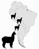 Alpaca range map