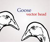 Vector Goose Head. EPS include