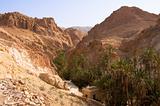 An oasis in the mountainous part of the Sahara