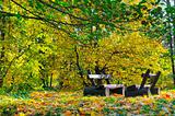 Autumn landscape. Bench in the park