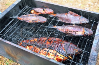 Smoked fish on the grill