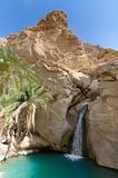 Waterfall in Oasis