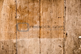 Stock macro photo of the texture of wood