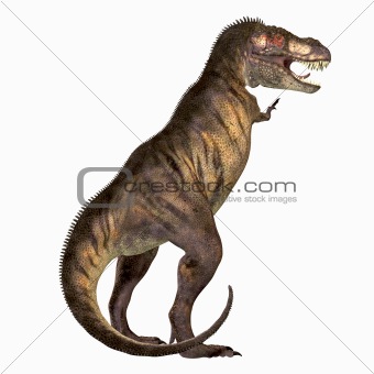 Tyrannosaurus Rex 01