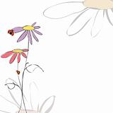 Spring summer floral with ladybirds on white background