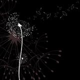 Abstract dandelion in the wind wallpaper