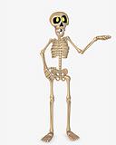 toon skeleton