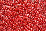 Fresh red currant berries in water - background