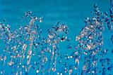 water droplets on blue