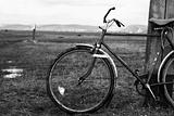old bicycle 