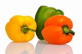 Three fresh peppers 