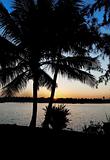 Green Lagoon sunrise portrait Kerala India