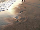 Fresh footprint in the surf line