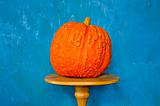 still-life with orange pumpkin