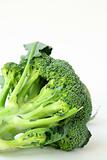 green cabbage broccoli on a white background