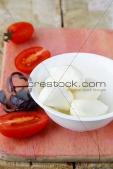 Baby mozzarella and tomato
