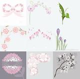 Set of various floral background greeting or birthday cards and invitations