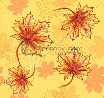 Seamless pattern with maple leafs. Autumn leafs background.